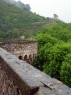 Rhone 204